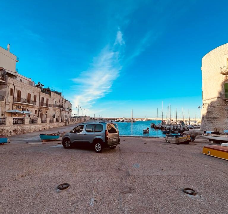 1665391666-WhatsApp Image 2022-10-05 at 15.27.23 (7)